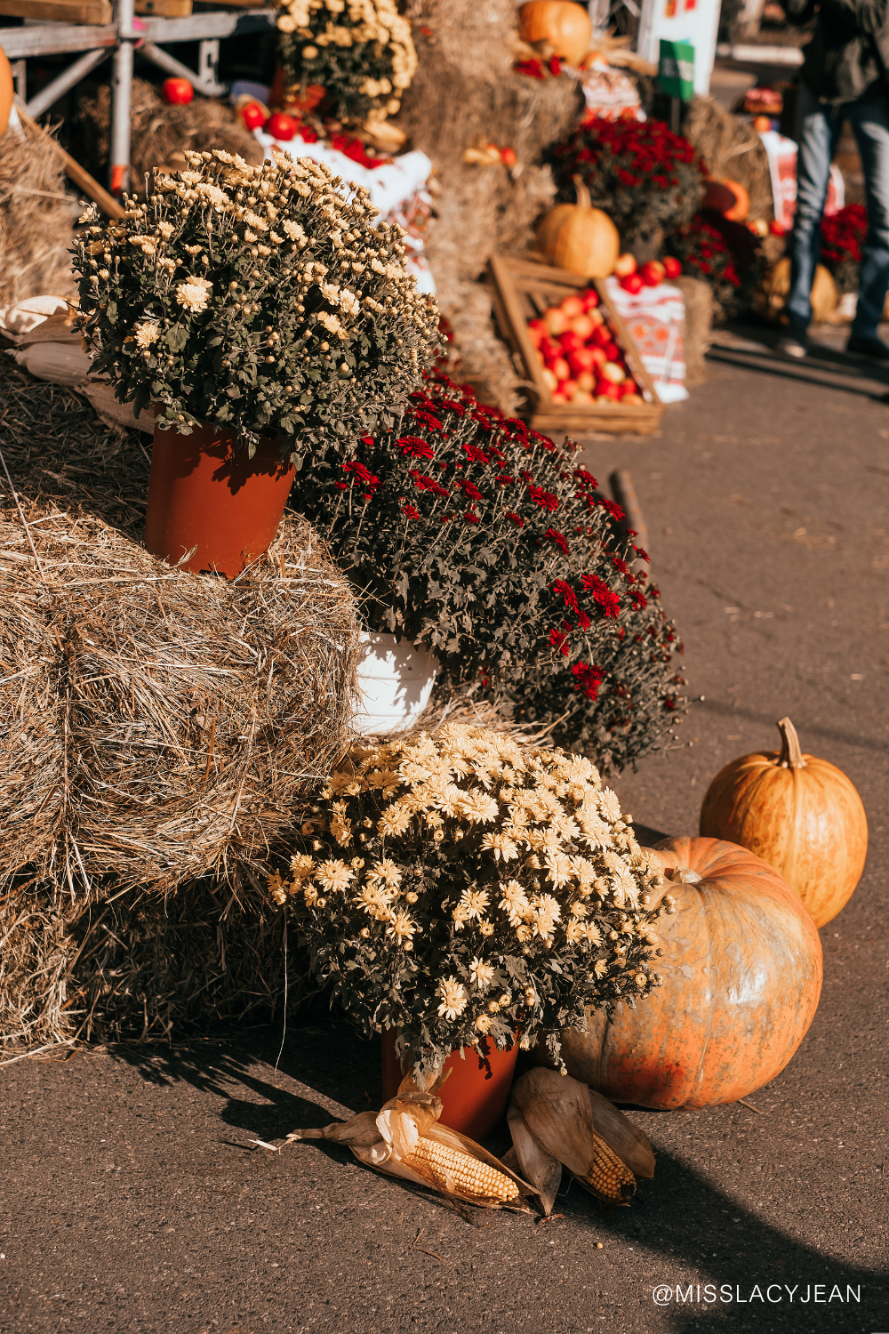 fall bucket list for couples